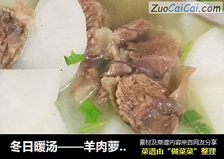冬日暖汤——羊肉萝卜汤