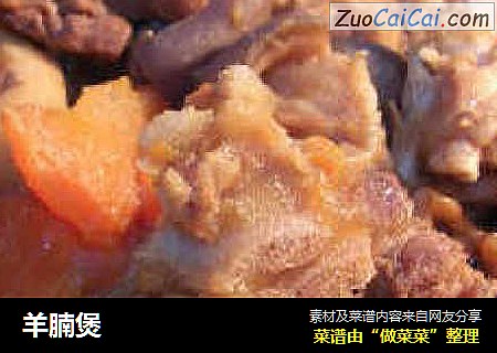 羊腩煲