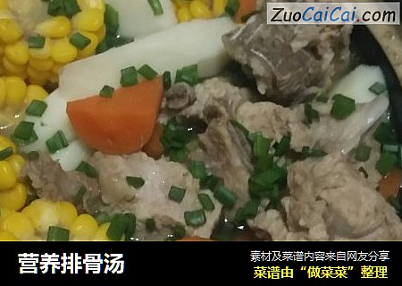 营养排骨汤