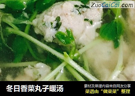 冬日香菜丸子暖汤