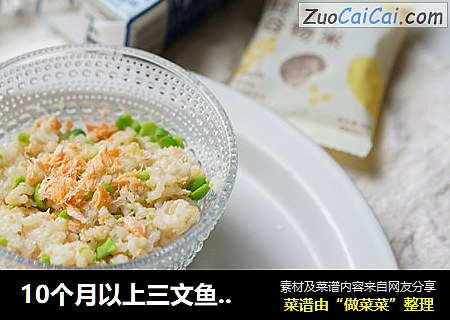 10个月以上三文鱼软烂饭