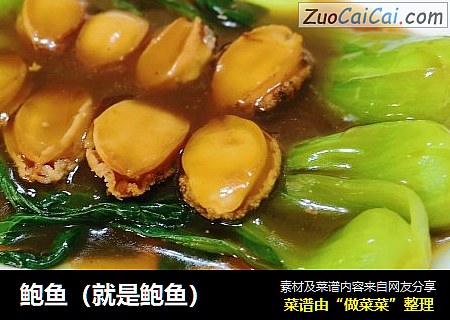 鲍鱼（就是鲍鱼）