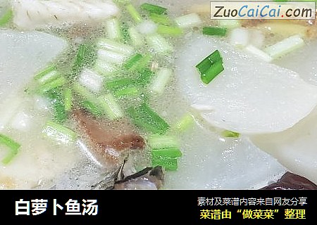 白萝卜鱼汤