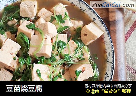 豆苗烧豆腐