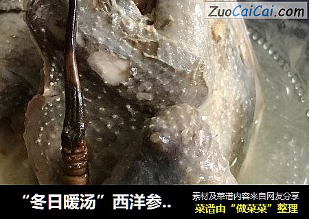 “冬日暖汤”西洋参虫草斑鸠汤