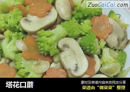 塔花口蘑