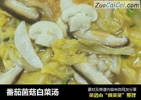 番茄菌菇白菜汤