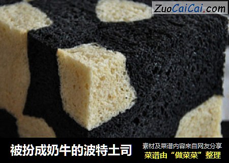 被扮成奶牛的波特土司