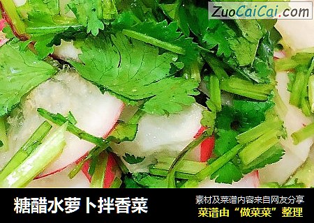 糖醋水萝卜拌香菜