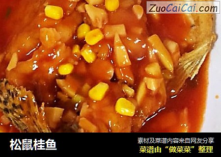 松鼠桂鱼