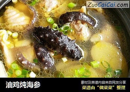 油鸡炖海参