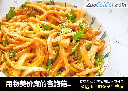 用物美价廉的杏鲍菇来做个比肉都好吃的一年四季都可以吃的快手凉拌菜开胃健脾凉拌菜