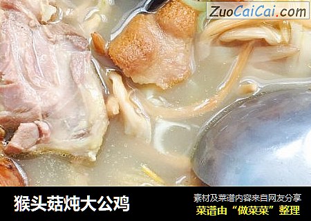 猴头菇炖大公鸡