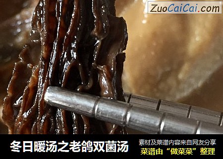 冬日暖汤之老鸽双菌汤