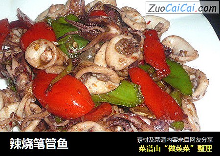 辣烧笔管鱼