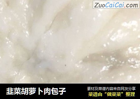 韭菜胡萝卜肉包子
