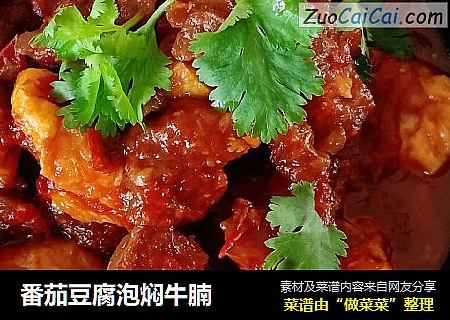番茄豆腐泡焖牛腩