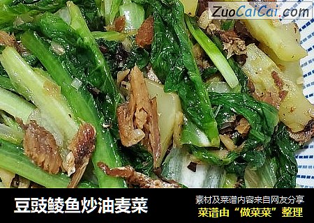 豆豉鲮鱼炒油麦菜