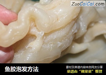 鱼胶泡发方法