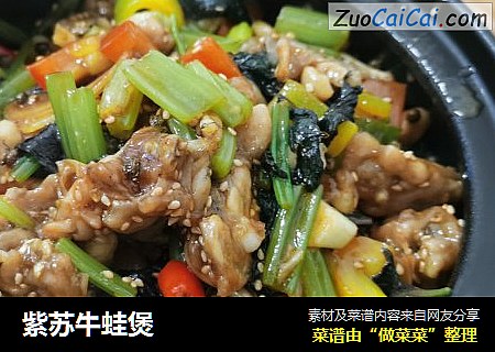 紫苏牛蛙煲