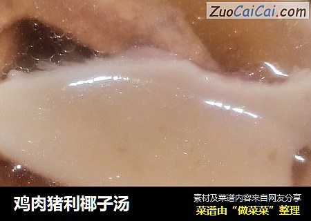 鸡肉猪利椰子汤