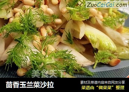 茴香玉兰菜沙拉