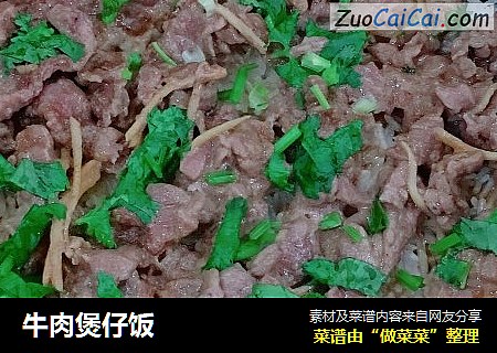 牛肉煲仔饭
