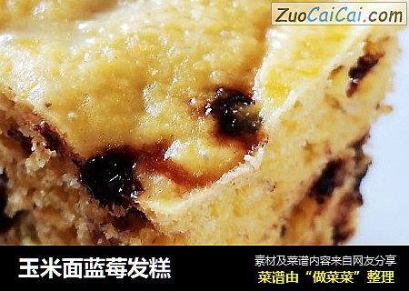 玉米面蓝莓发糕