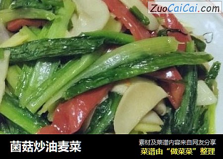 菌菇炒油麦菜