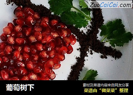 葡萄树下