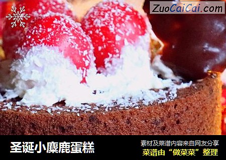 圣诞小麋鹿蛋糕