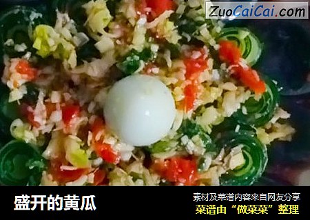 盛开的黄瓜