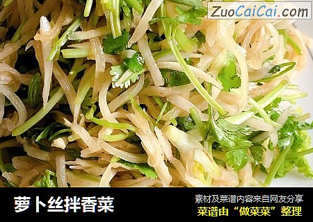 萝卜丝拌香菜
