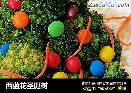 西蓝花圣诞树