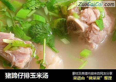 猪蹄仔排玉米汤