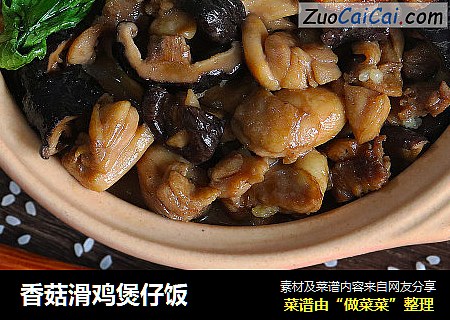 香菇滑鸡煲仔饭