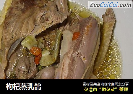枸杞蒸乳鸽