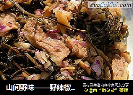 山间野味——野辣椒苗炒肉片