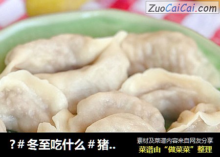 ?＃冬至吃什么＃猪肉白菜饺子