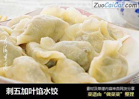 刺五加叶馅水饺