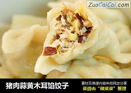 猪肉蒜黄木耳馅饺子