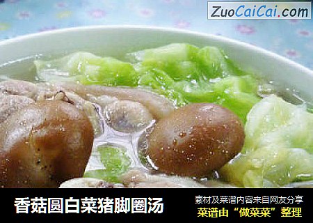 香菇圆白菜猪脚圈汤
