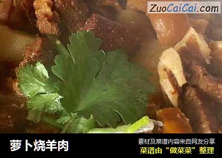 萝卜烧羊肉