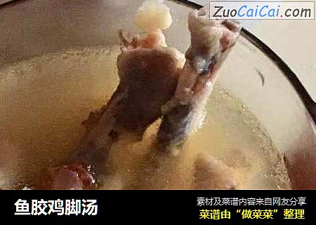 鱼胶鸡脚汤
