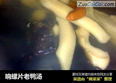 响螺片老鸭汤