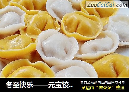 冬至快乐——元宝饺子来报道