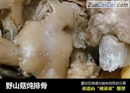 野山菇炖排骨
