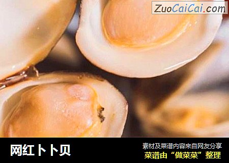 网红卜卜贝
