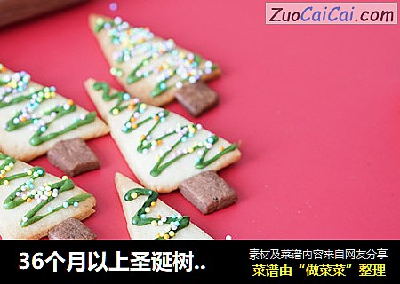 36个月以上圣诞树饼干曲奇