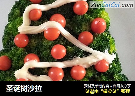 圣诞树沙拉